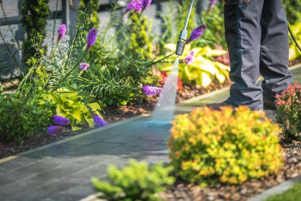 Best Fence Cleaning  in North Utica, IL
